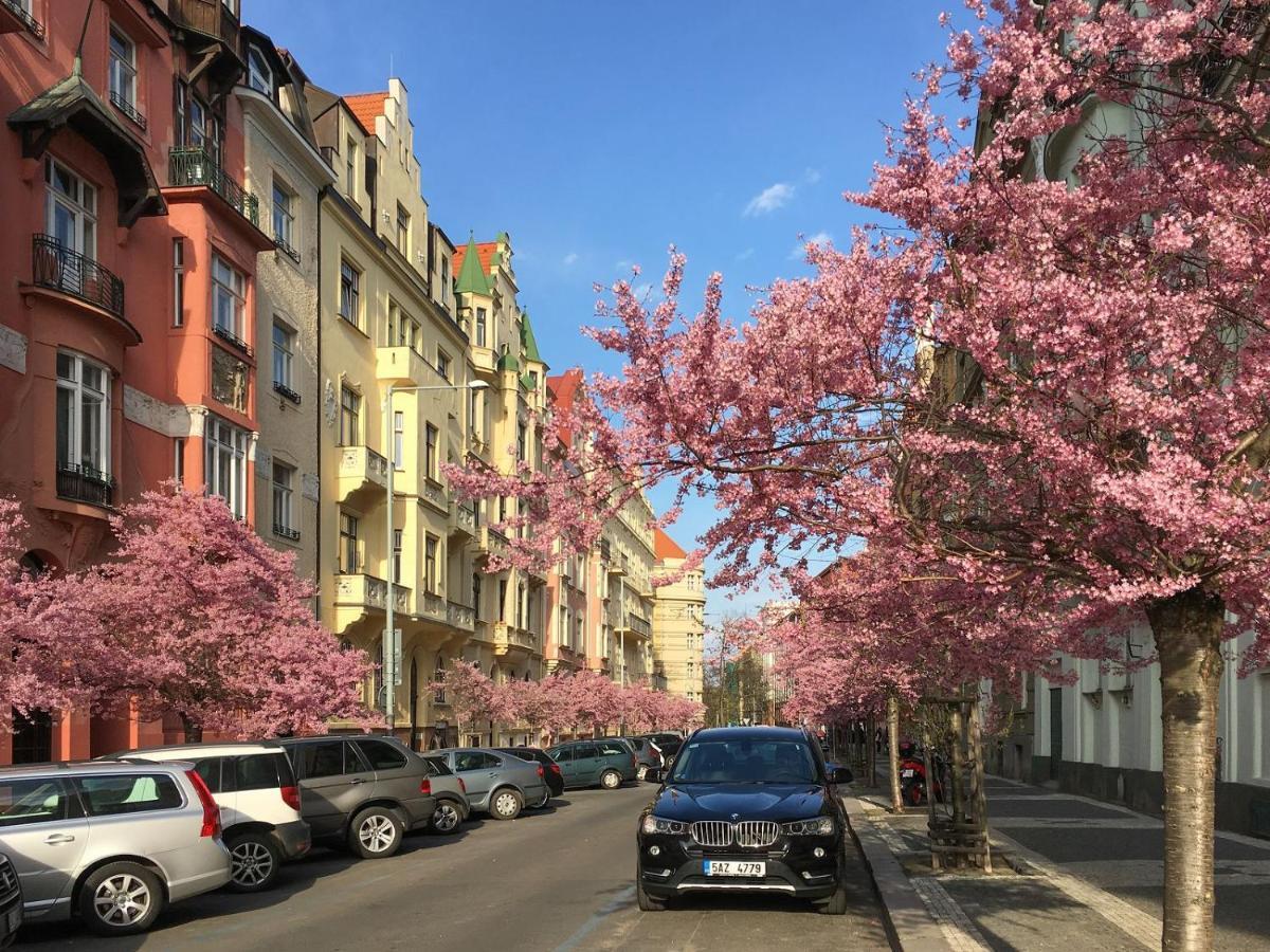 Ferienwohnung Modern&Huge APTs in Center by Michal&Friends Prag Exterior foto